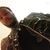 Justin Criswell's profile image