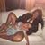 Ashley 'Rice' Grant's profile image