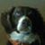 Justas Wellbe TheGunner's profile image