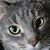 Debbie Riley Slater's profile image
