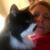 Julie Westfall Turner's profile image