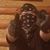 Aj Broen's profile image