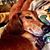 Claudette Mannix's profile image