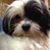 Audrey Babbitt's profile image