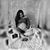 Osmara Padilla's profile image
