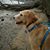 Susan A. C. Farris's profile image