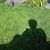 Michelle Jones's profile image