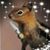 Scott D Whaley's profile image