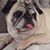 Melissa Schaab Harmon's profile image