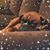 Christine LaRocca Arango's profile image
