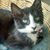 Lynnette Ferro's profile image