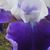Christina Akbright's profile image