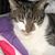 Bonnie Kolach's profile image