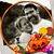 Destinie Rasmussen's profile image