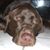 Glenn Percle's profile image