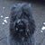 Michele Bliss's profile image