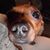 Judy Palombo's profile image