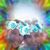 Kristin Taghon's profile image