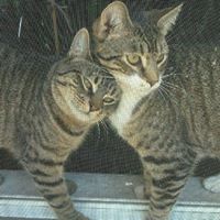 Luz Ortiz's profile image