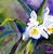Barbara Martin Smith's profile image