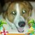 Nita King's profile image