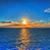 Tina Gulmohamed's profile image