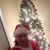 April Fridley Vierra's profile image
