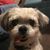 Donna Smith Elliott's profile image