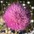 Pattie Jordan's profile image