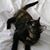 Karen Radspinner's profile image