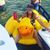 Kati Nelson's profile image