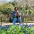 Arlene Ferris's profile image