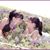 Sara Rangel Chadwell's profile image