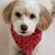 Karen Kostoff's profile image