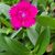 Karn Maureen Crooks's profile image