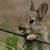 Heather Bowland's profile image