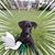 Ken Muncy's profile image