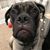 Debbie Rehling Wright's profile image