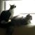 Sherrie L Pridemore's profile image