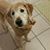 Kristina Talbot Quintana's profile image