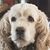 Doug Smith's profile image