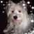 Ric Basil's profile image