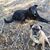 Jason Lee Beckwith's profile image