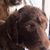 Jacqueline Giusto's profile image