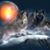 Carol Resnick's profile image