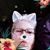 Kay Foote Coulter's profile image