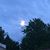 Nilda Mojica's profile image