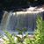 Shelly Prine-Caudill's profile image