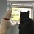 Marla Cole Kuehne's profile image