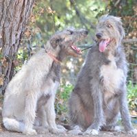Glenna Baker's profile image